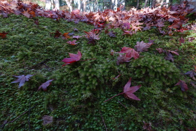 Evernote Camera Roll 20161126 102505 (4)