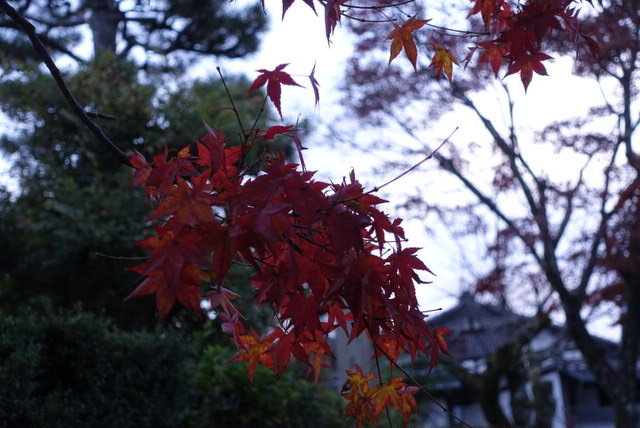 Evernote Camera Roll 20161121 072351 (5)