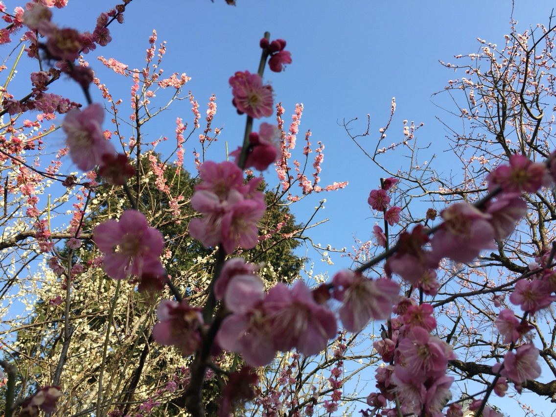 2016-03-04-15-56-19