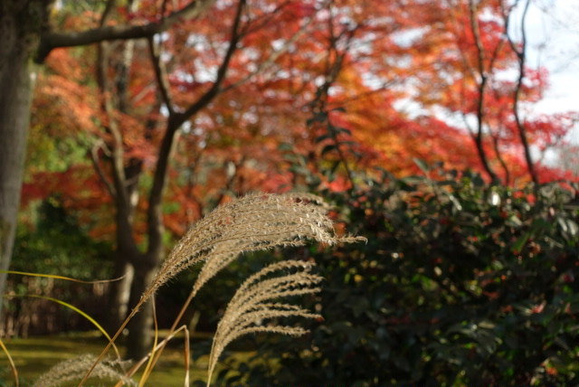 Evernote Camera Roll 20161204 092145 (3)