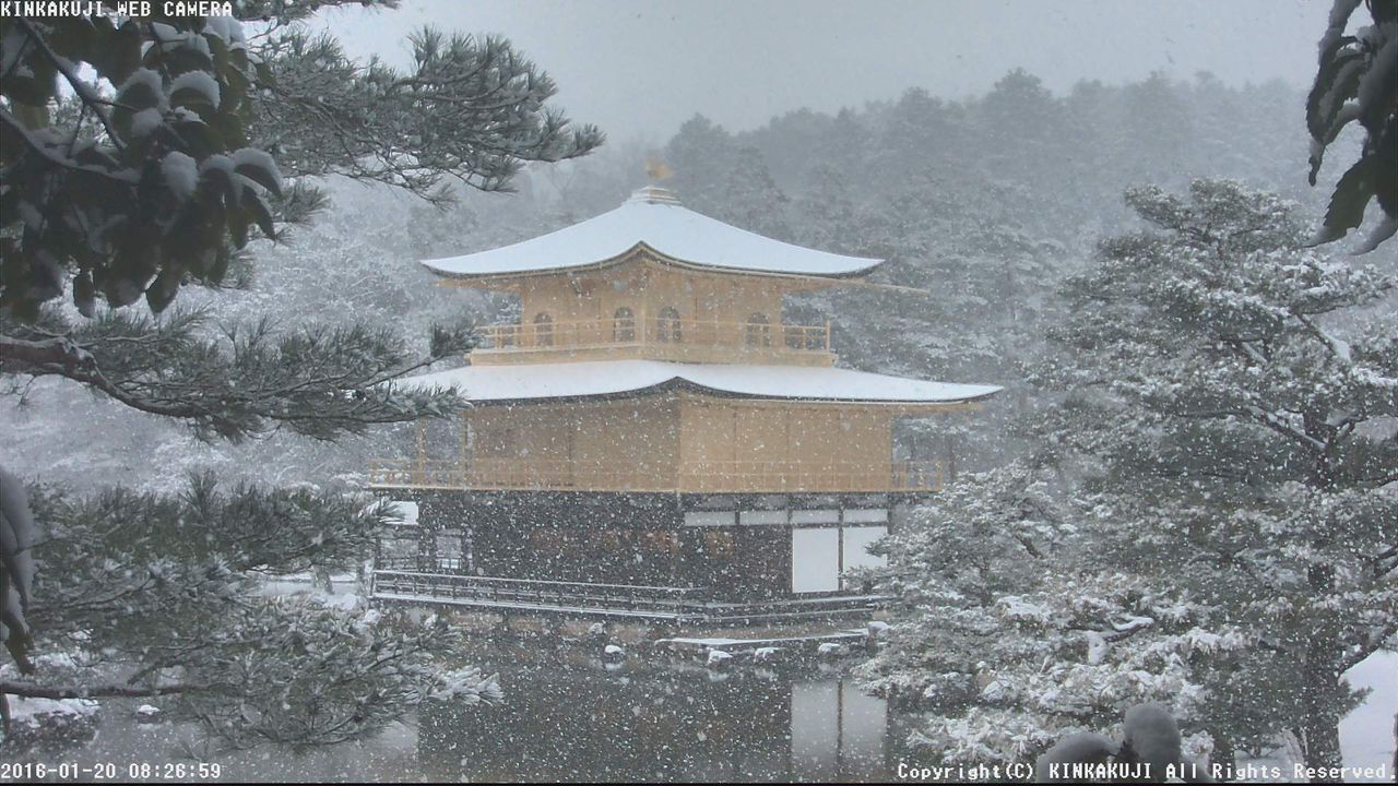 kinkaku01 (16)