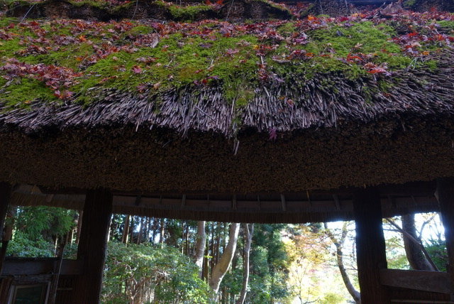 Evernote Camera Roll 20161126 102505 (8)