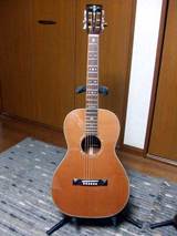 ギター買っちまいました。 : おろかなるひとり言