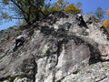 DSCF1555