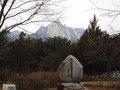 DSCF2263