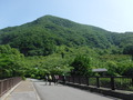 DSCF4177