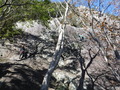 DSCF1590