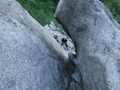DSCF3805