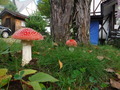 DSCF4819