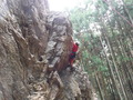 DSCF7223