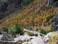 DSCF5395