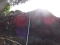 DSCF7527