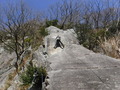 DSCF9895