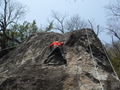 DSCF6946