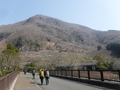 DSCF6933