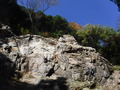 DSCF9385