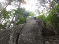 DSCF8770