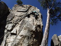DSCF0636