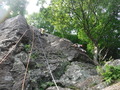 DSCF8307