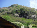 DSCF3312
