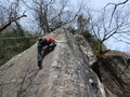 DSCF6956