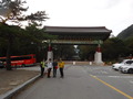 DSCF5028