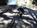 DSCF1184