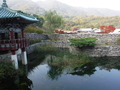DSCF5310