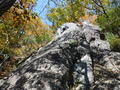 DSCF1540