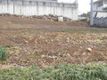 P3070004