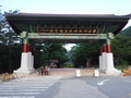 DSCF7934