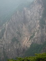 DSCF7977