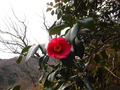 DSCF1812