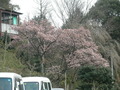 P2050027