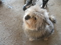 P3030031