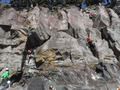 DSCF9586