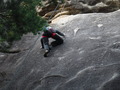 DSCF3591