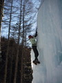 DSCF6847
