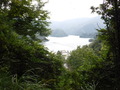 DSCF8637