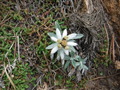 DSCF7961