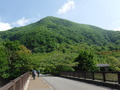 DSCF7731