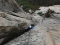 DSCF5001