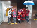 DSCF3683