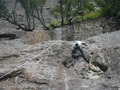 DSCF3263