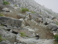 DSCF8518