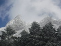 DSCF9778