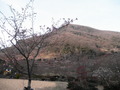 P2230017
