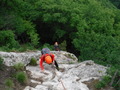 DSCF7831