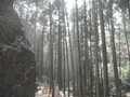 P3010004