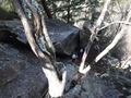 DSCF7240